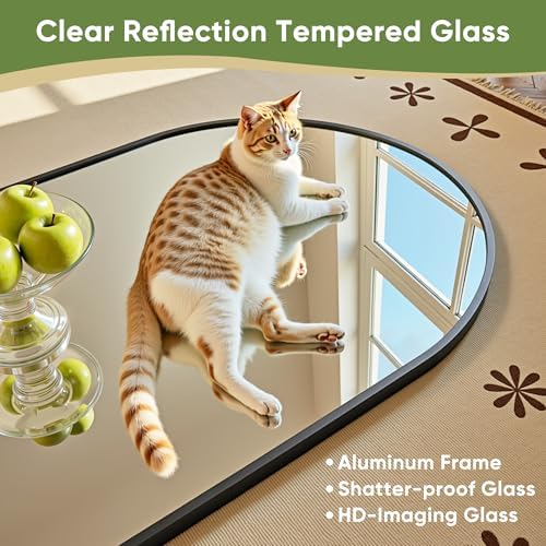 Gebogen spiegel op volle lengt - Arch Mirror Leaning recensie en prijs